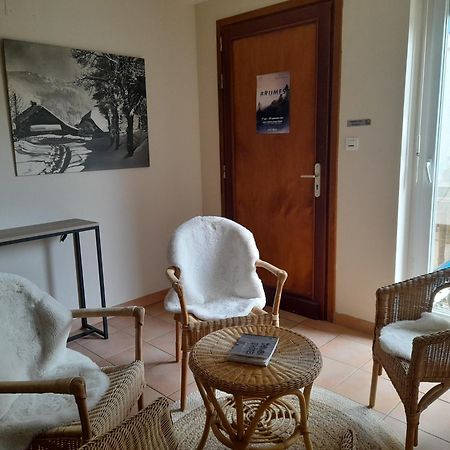 L'Amandaure Bed & Breakfast Saulcy-sur-Meurthe Bagian luar foto