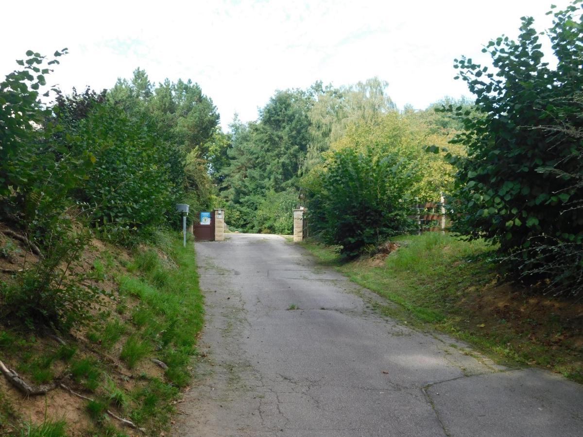 L'Amandaure Bed & Breakfast Saulcy-sur-Meurthe Bagian luar foto